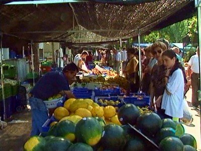 MERCADILLO (2) NEGOCIO ESTABLECIMIENTO TIENDA VENTAS